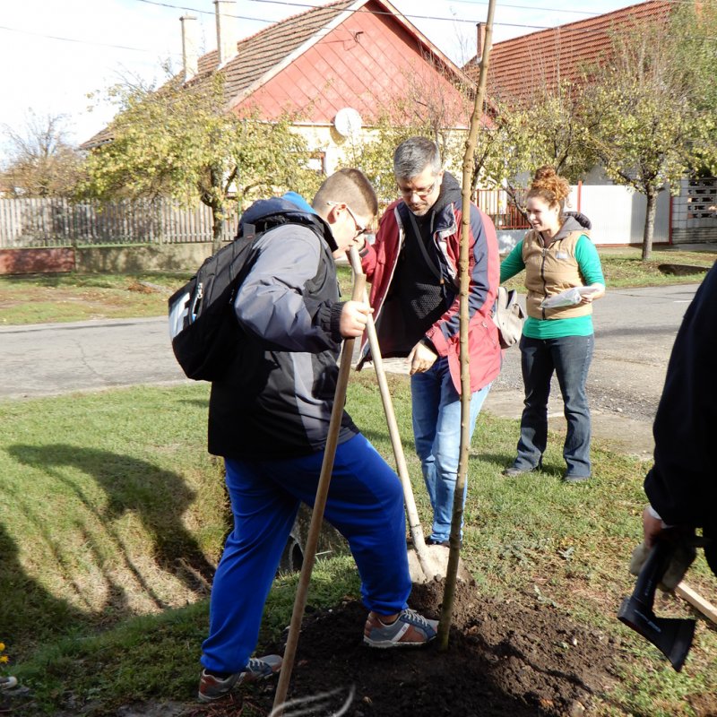 Közösségi faültetés Berettyóújfaluban 55